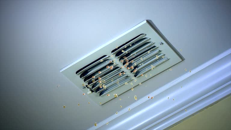 Best Affordable HVAC Duct Cleaning  in Magnolia, NC