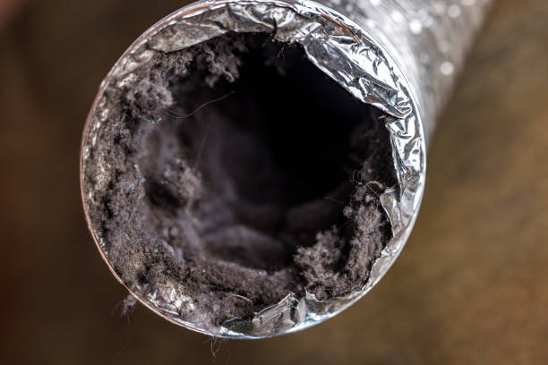 Best HVAC System Cleaning  in Magnolia, NC