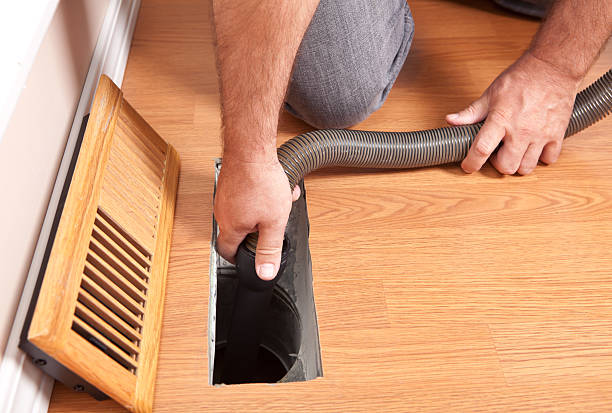 Best Local Air Duct Cleaning Services  in Magnolia, NC