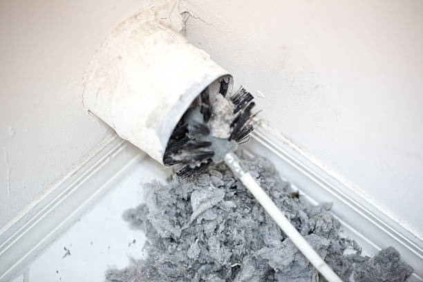 Best Air Duct Cleaning Near Me  in Magnolia, NC